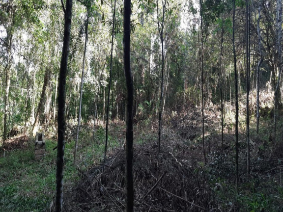 Imagem Terreno à Venda, em Lageana - Gramado Imagem Terreno à Venda, em Lageana - Gramado
