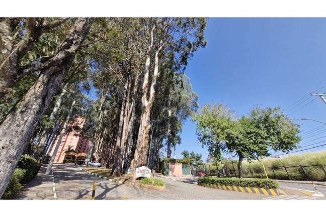 Imagem Apartamento com 3 Quartos à Venda, 64 m² em Campo Grande - São Paulo