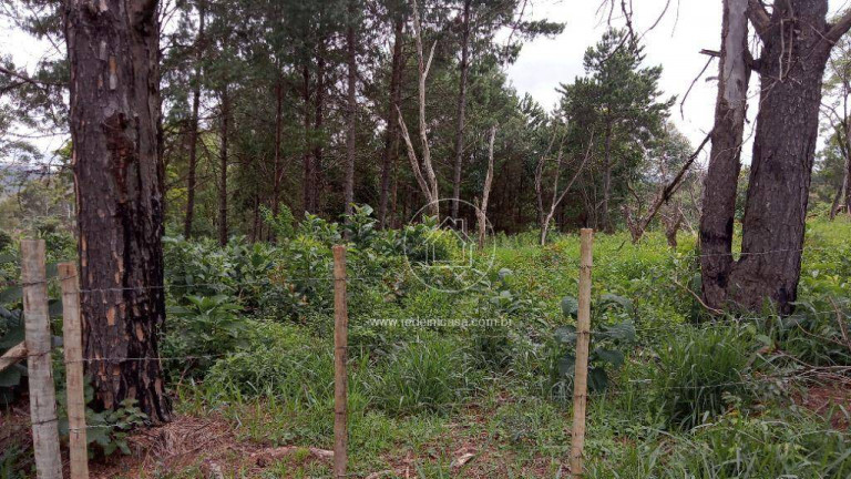 Imagem Terreno em Condomínio à Venda, 15.070 m² em Estoril - Nova Lima