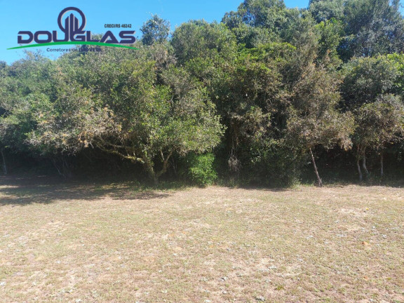 Imagem Chácara com 2 Quartos à Venda, 11.000 m² em Viamão Imagem Chácara com 2 Quartos à Venda, 11.000 m² em Viamão