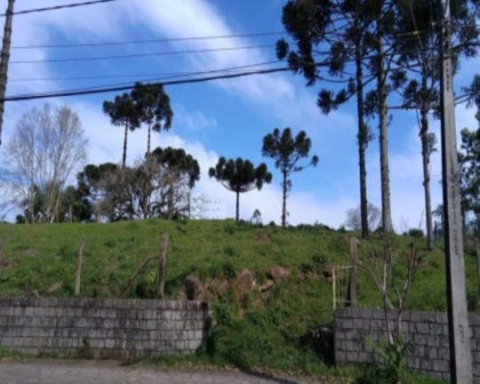 Imagem Terreno à Venda, 1.051 m² em Vila Germânia - Nova Petrópolis Imagem Terreno à Venda, 1.051 m² em Vila Germânia - Nova Petrópolis