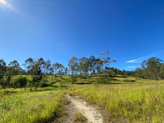 Imagem Terreno à Venda, 320.000 m² em Terra Preta (terra Preta) - Mairiporã