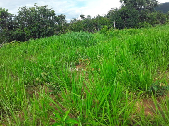Imagem Imóvel com 3 Quartos à Venda, 2.770 m² em Zona Rural - Barra Do Bugres Imagem Imóvel com 3 Quartos à Venda, 2.770 m² em Zona Rural - Barra Do Bugres