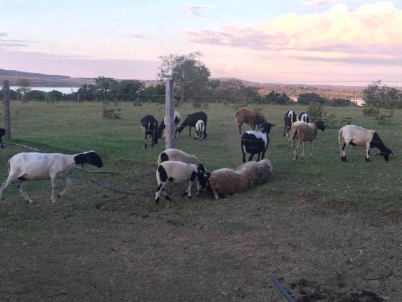 Imagem Chácara com 3 Quartos à Venda, 10 m² em água Fria - Chapada Dos Guimarães Imagem Chácara com 3 Quartos à Venda, 10 m² em água Fria - Chapada Dos Guimarães