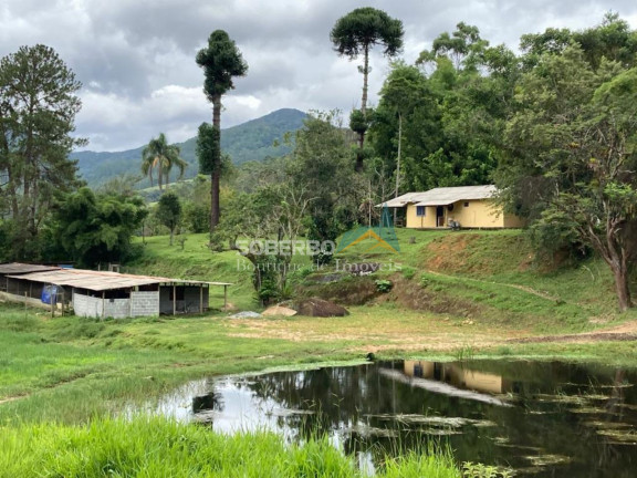 Imóvel com 6 Quartos à Venda, 544.500 m² em São Geraldo - Nova Friburgo