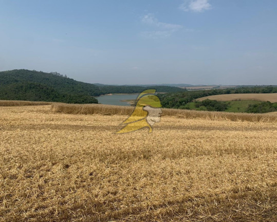 Imagem Imóvel à Venda, 2.880.000 m² em Centro - São Roque Imagem Imóvel à Venda, 2.880.000 m² em Centro - São Roque