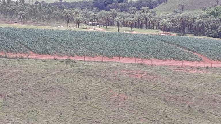 Imagem Fazenda à Venda, 1.950 m² em Centro - Córrego Danta Imagem Fazenda à Venda, 1.950 m² em Centro - Córrego Danta