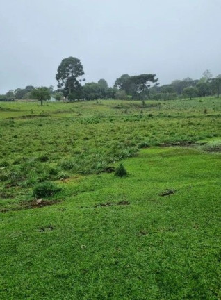 Imagem Imóvel à Venda, em Centro - Piraquara Imagem Imóvel à Venda, em Centro - Piraquara