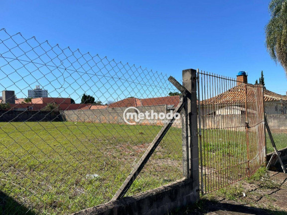 Imagem Terreno para Alugar, 1.064 m² em Taquaral - Campinas Imagem Terreno para Alugar, 1.064 m² em Taquaral - Campinas