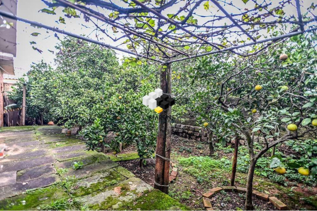 Imagem Casa de Condomínio com 3 Quartos à Venda, 100 m² em Santa Tereza - Porto Alegre