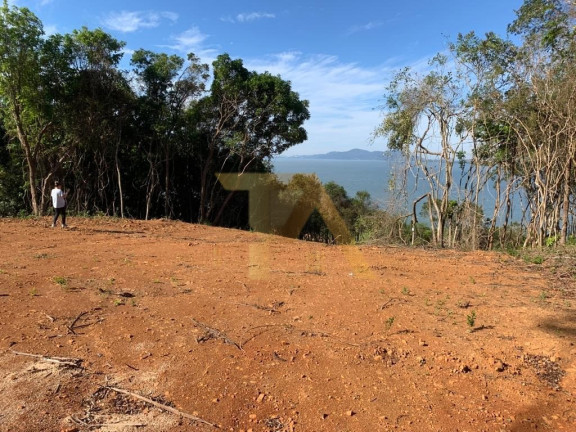 Imagem Fazenda à Venda, 24.000 m² em Itapeva - Imaruí Imagem Fazenda à Venda, 24.000 m² em Itapeva - Imaruí
