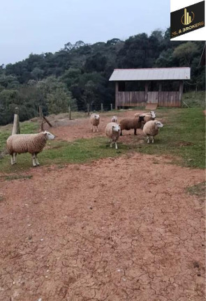 Imagem Imóvel com 4 Quartos à Venda, 46.000 m² em Freguesia Dos Laras - Campo Magro