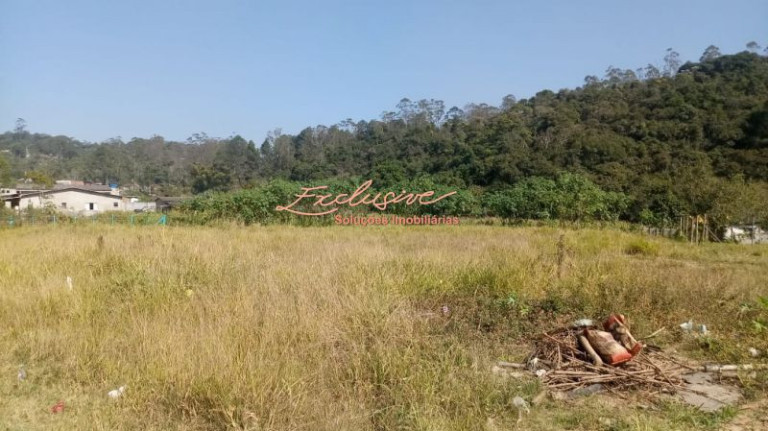Imagem Chácara à Venda, 4.000 m² em Ipelândia - Suzano Imagem Chácara à Venda, 4.000 m² em Ipelândia - Suzano