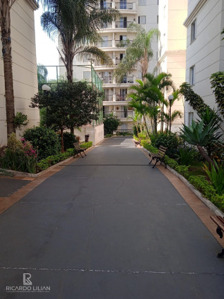 Imagem Apartamento com 3 Quartos à Venda, 67 m² em Jardim Clímax - São Paulo