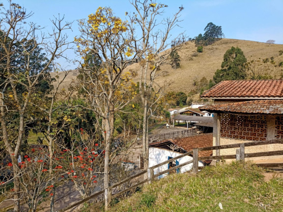 Imagem Fazenda à Venda, 240 m² em Santa Rita - São Luíz Do Paraitinga