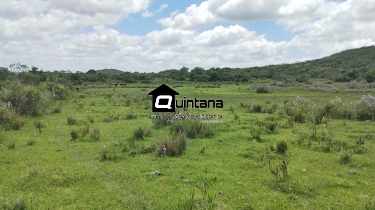 Imagem Imóvel à Venda, 2.300.000 m² em 2º Distrito - Piratini Imagem Imóvel à Venda, 2.300.000 m² em 2º Distrito - Piratini