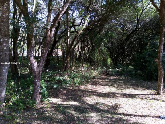 Imagem Terreno à Venda, em Depois Do Centro - Ibiúna Imagem Terreno à Venda, em Depois Do Centro - Ibiúna