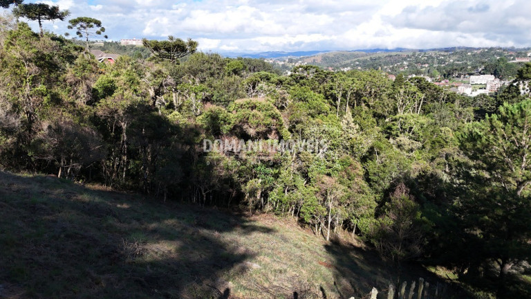 Imagem Terreno à Venda, 1.245 m² em Região Do Atalaia - Campos Do Jordão Imagem Terreno à Venda, 1.245 m² em Região Do Atalaia - Campos Do Jordão