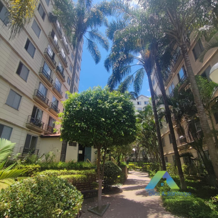 Imagem Apartamento com 3 Quartos à Venda, 61 m² em Jardim Santa Emília - São Paulo Imagem Apartamento com 3 Quartos à Venda, 61 m² em Jardim Santa Emília - São Paulo