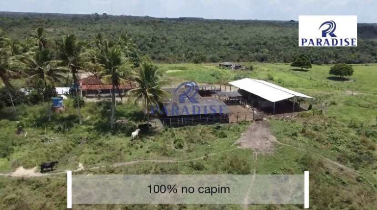 Imagem Fazenda à Venda, 766.000 m² em Zona Rural - Cardeal Da Silva Imagem Fazenda à Venda, 766.000 m² em Zona Rural - Cardeal Da Silva