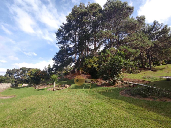 Imagem Casa com 5 Quartos à Venda, 733 m² em Iucas - Teresópolis Imagem Casa com 5 Quartos à Venda, 733 m² em Iucas - Teresópolis