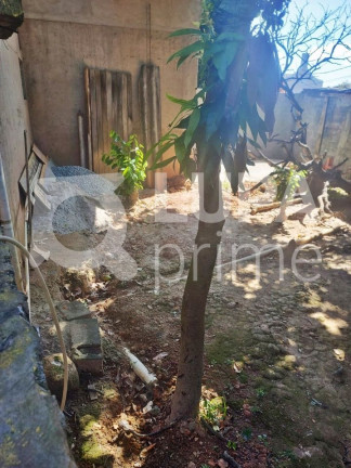 Imagem Casa com 3 Quartos à Venda, 240 m² em Vila Nova Galvão - São Paulo Imagem Casa com 3 Quartos à Venda, 240 m² em Vila Nova Galvão - São Paulo