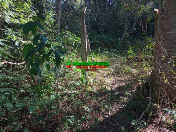 Imagem Chácara à Venda, 5.000 m² em Canaã Ll - Jambeiro Imagem Chácara à Venda, 5.000 m² em Canaã Ll - Jambeiro