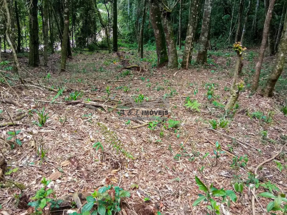 Imagem Terreno à Venda, 1 m² em Nova Capivari - Campos Do Jordão Imagem Terreno à Venda, 1 m² em Nova Capivari - Campos Do Jordão