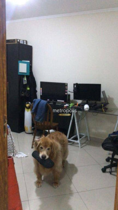 Imagem Apartamento com 3 Quartos à Venda, 127 m² em Centro - São Bernardo Do Campo Imagem Apartamento com 3 Quartos à Venda, 127 m² em Centro - São Bernardo Do Campo