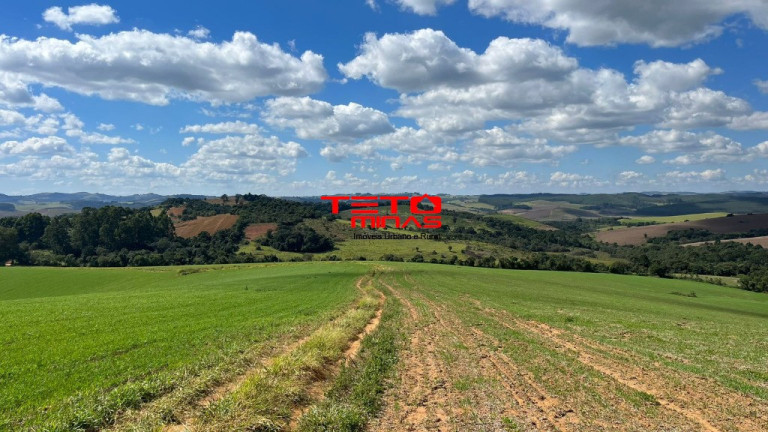 Imagem Imóvel à Venda, em Zona Rural De Zona Rural De Ipuiuna - São Lourenço Imagem Imóvel à Venda, em Zona Rural De Zona Rural De Ipuiuna - São Lourenço