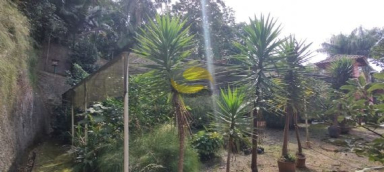 Imagem Terreno à Venda, 1.000 m² em Jardim Colibri - Cotia Imagem Terreno à Venda, 1.000 m² em Jardim Colibri - Cotia