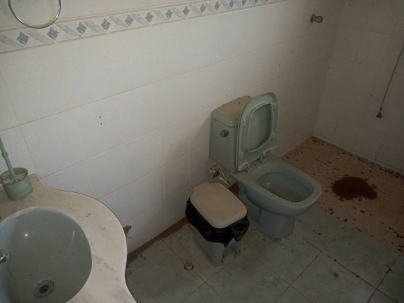 Imagem Casa com 2 Quartos à Venda, 1.005 m² em águas Claras - Viamão