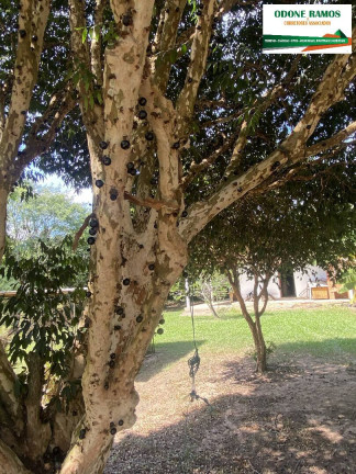 Imagem Chácara com 3 Quartos à Venda, 160 m² em Montenegro