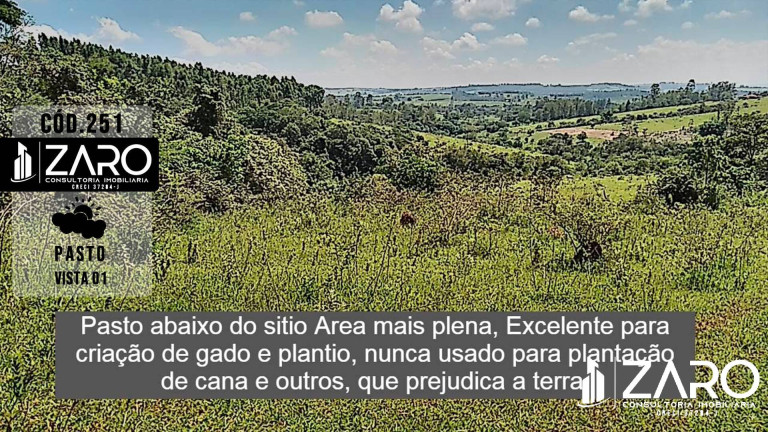 Imagem Chácara com 2 Quartos à Venda, 3 m² em Itapé - Rio Claro