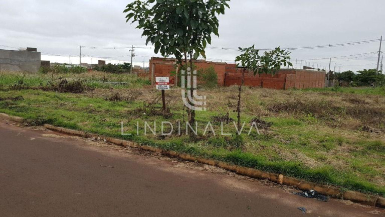 Terreno à Venda, 234 m² em Três Lagoas - Foz Do Iguacu