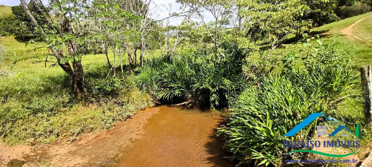 Imagem Chácara à Venda, 21 m² em Centro - Paraisópolis