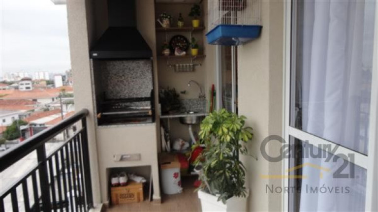 Imagem Apartamento com 2 Quartos à Venda, 66 m² em Vila Mazzei - São Paulo Imagem Apartamento com 2 Quartos à Venda, 66 m² em Vila Mazzei - São Paulo