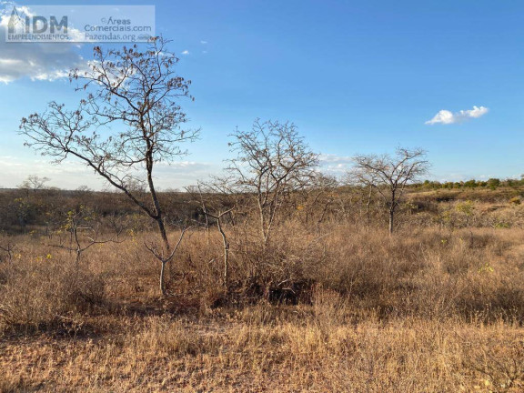 Imagem Chácara à Venda, 49.500.000 m² em Centro - Buritizeiro Imagem Chácara à Venda, 49.500.000 m² em Centro - Buritizeiro