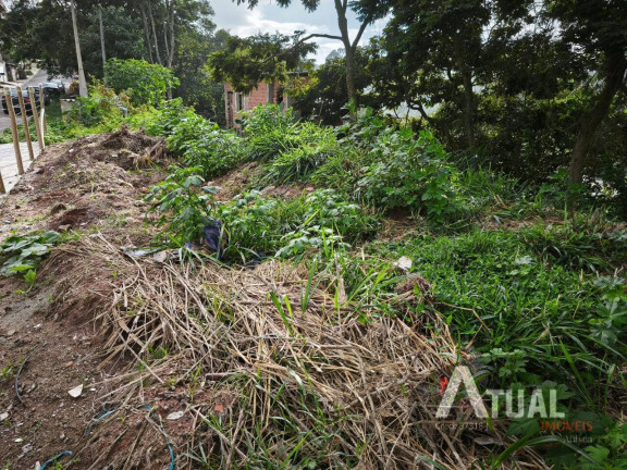 Imagem Terreno à Venda, 135 m² em Terra Preta (terra Preta) - Mairiporã Imagem Terreno à Venda, 135 m² em Terra Preta (terra Preta) - Mairiporã