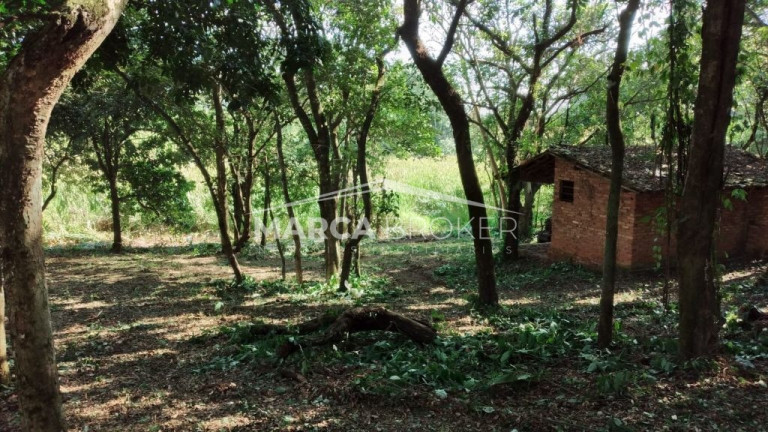 Imagem Fazenda à Venda, 35.000 m² em Floresta - Monte Santo De Minas Imagem Fazenda à Venda, 35.000 m² em Floresta - Monte Santo De Minas