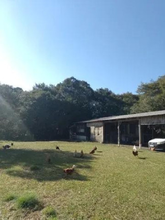 Imagem Imóvel com 7 Quartos à Venda, 32.000 m² em Centro - Tijucas Do Sul