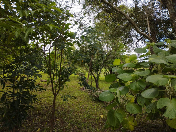 Imagem Terreno à Venda, 1 m² em Jardim Cananéia - Pilar Do Sul Imagem Terreno à Venda, 1 m² em Jardim Cananéia - Pilar Do Sul