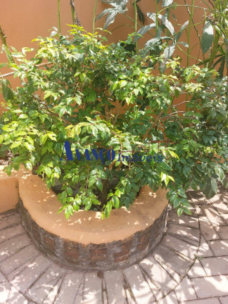 Imagem Casa com 1 Quarto à Venda, 300 m² em Roseira - Jundiaí Imagem Casa com 1 Quarto à Venda, 300 m² em Roseira - Jundiaí
