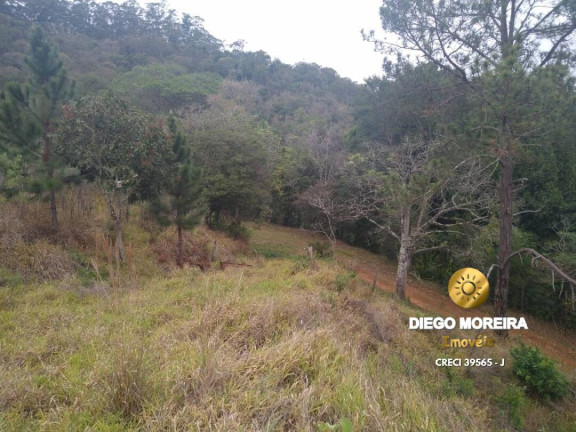 Imagem Chácara com 2 Quartos à Venda, 60 m² em Terra Preta - Mairiporã Imagem Chácara com 2 Quartos à Venda, 60 m² em Terra Preta - Mairiporã