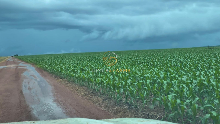 Imagem Imóvel com 3 Quartos à Venda, 7.546 m² em Zona Rural - Nobres Imagem Imóvel com 3 Quartos à Venda, 7.546 m² em Zona Rural - Nobres