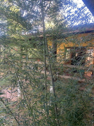 Imagem Casa de Condomínio com 3 Quartos à Venda, 1.000 m² em Terras De Savion - Itatiba Imagem Casa de Condomínio com 3 Quartos à Venda, 1.000 m² em Terras De Savion - Itatiba
