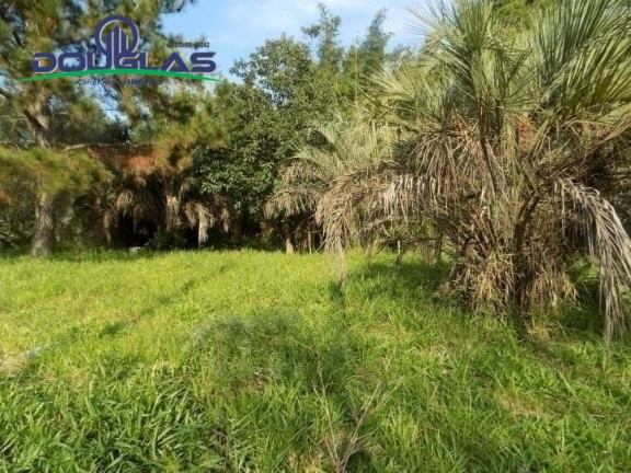 Imagem Terreno à Venda, 465 m² em águas Claras - Viamão