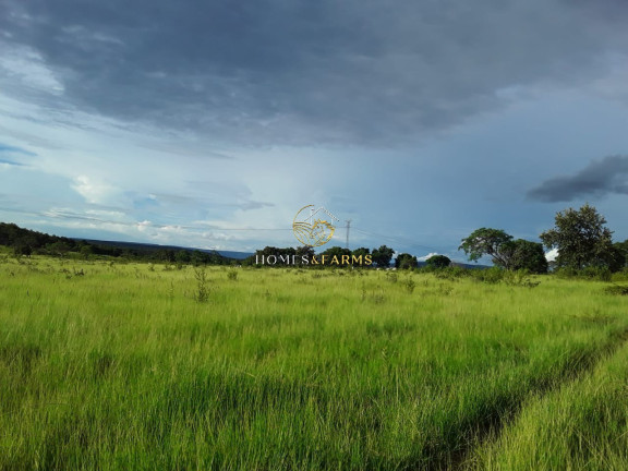Imagem Imóvel com 3 Quartos à Venda, 2.770 m² em Zona Rural - Barra Do Bugres Imagem Imóvel com 3 Quartos à Venda, 2.770 m² em Zona Rural - Barra Do Bugres