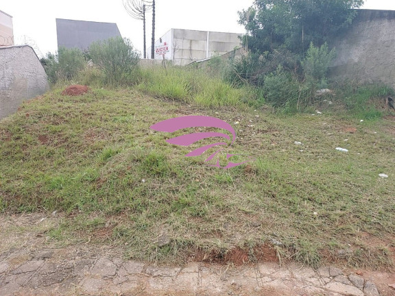 Imagem Terreno à Venda, 500 m² em Bom Jesus - São José Dos Pinhais Imagem Terreno à Venda, 500 m² em Bom Jesus - São José Dos Pinhais