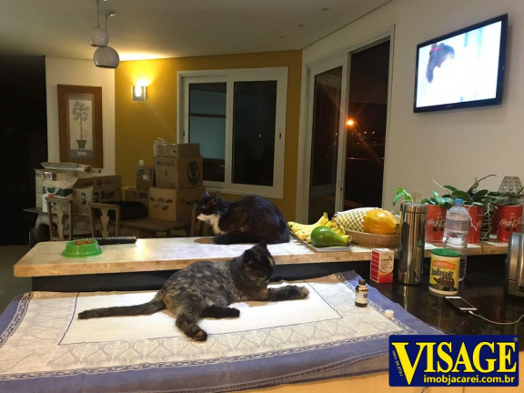 Imagem Casa com 3 Quartos à Venda, 375 m² em Jd. Coleginho - Jacareí
